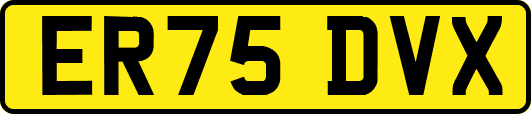 ER75DVX