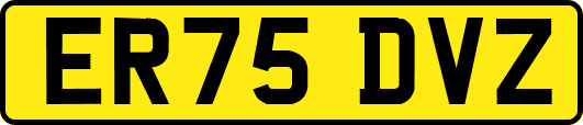 ER75DVZ