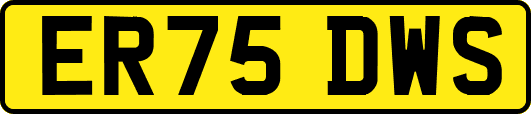ER75DWS