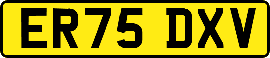 ER75DXV