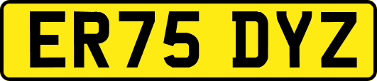 ER75DYZ