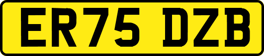 ER75DZB