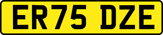 ER75DZE