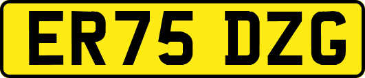 ER75DZG
