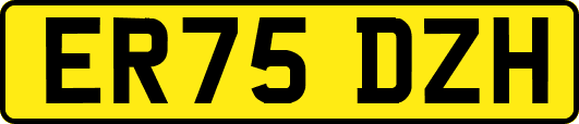 ER75DZH