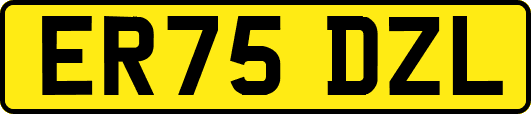 ER75DZL