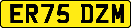 ER75DZM