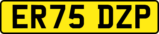 ER75DZP