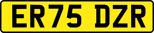 ER75DZR