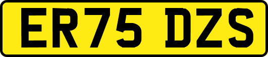 ER75DZS
