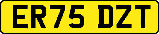 ER75DZT