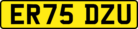 ER75DZU