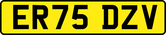 ER75DZV