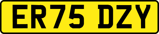 ER75DZY