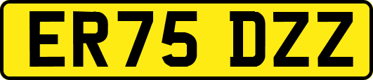 ER75DZZ