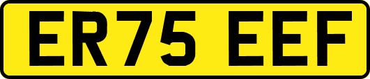 ER75EEF