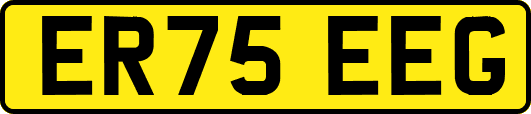 ER75EEG