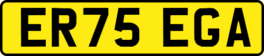 ER75EGA