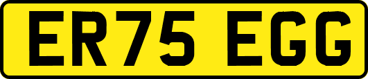 ER75EGG