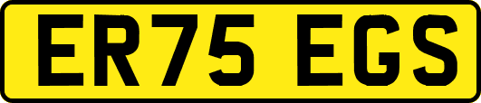 ER75EGS