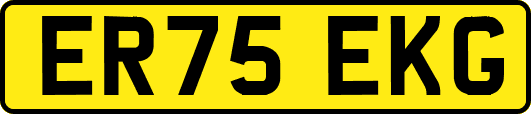 ER75EKG