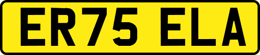 ER75ELA