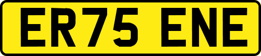 ER75ENE