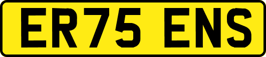 ER75ENS