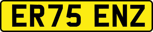 ER75ENZ