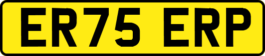 ER75ERP