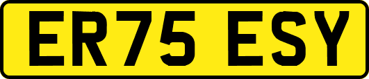 ER75ESY