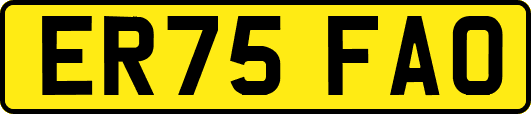 ER75FAO