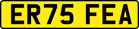 ER75FEA