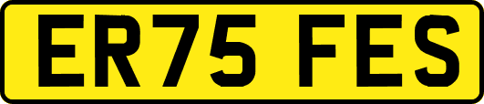 ER75FES