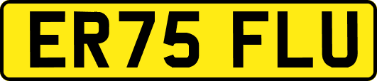 ER75FLU