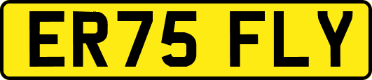 ER75FLY