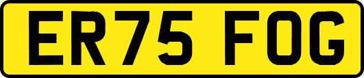 ER75FOG