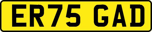 ER75GAD