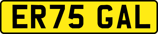 ER75GAL