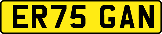 ER75GAN