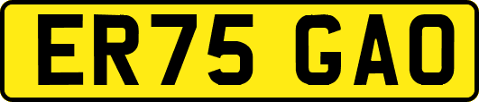 ER75GAO