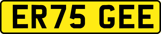 ER75GEE