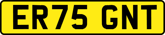 ER75GNT