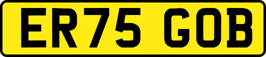 ER75GOB