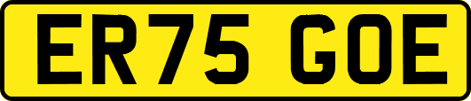 ER75GOE