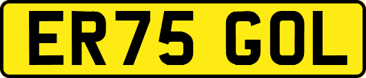 ER75GOL