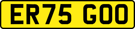 ER75GOO