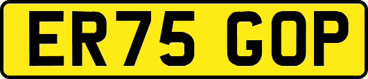 ER75GOP