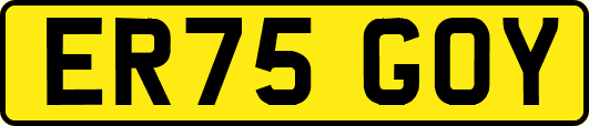 ER75GOY