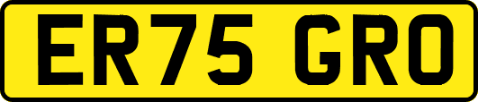 ER75GRO